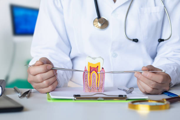 Best Emergency Wisdom Tooth Extraction in Cassville, MO